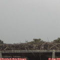 13_35-mast.jpg