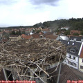 13_35-nest.jpg