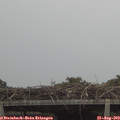 13_40-mast.jpg