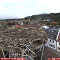 13_40-nest.jpg