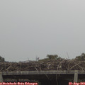 13_45-mast.jpg