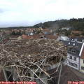 13_45-nest.jpg