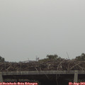 13_50-mast.jpg