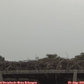 13_55-mast.jpg