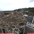 13_55-nest.jpg