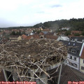 14_00-nest.jpg