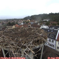 14_05-nest.jpg
