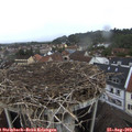 14_10-nest.jpg