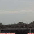 14_15-mast.jpg