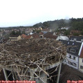 14_15-nest.jpg