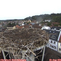 14_25-nest.jpg