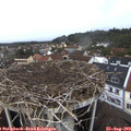 14_30-nest.jpg