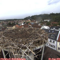 14_35-nest.jpg