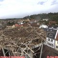 14_40-nest.jpg