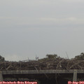 14_45-mast.jpg
