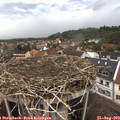 14_45-nest.jpg