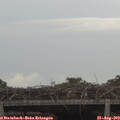 14_50-mast.jpg
