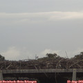 14_55-mast.jpg