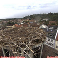 14_55-nest.jpg