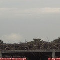 15_00-mast.jpg