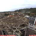 15_00-nest.jpg