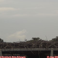 15_05-mast.jpg