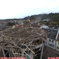 15_05-nest.jpg