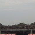 15_15-mast.jpg