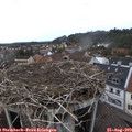 15_15-nest.jpg