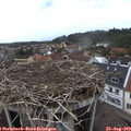 15_20-nest.jpg