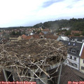 15_25-nest.jpg