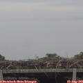 15_30-mast.jpg