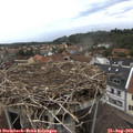 15_30-nest.jpg