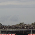 15_35-mast.jpg
