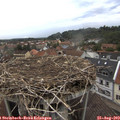 15_35-nest.jpg