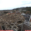 15_40-nest.jpg