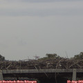 15_45-mast.jpg