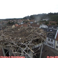 15_50-nest.jpg