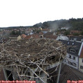 15_55-nest.jpg