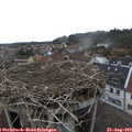 16_05-nest.jpg