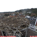 16_10-nest.jpg