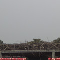 16_15-mast.jpg