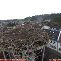 16_40-nest.jpg