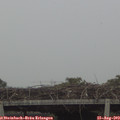16_45-mast.jpg
