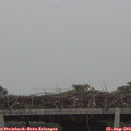 16_55-mast.jpg