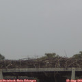 17_05-mast.jpg