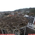 17_05-nest.jpg