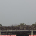 17_15-mast.jpg