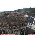 17_15-nest.jpg