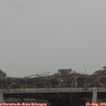 17_45-mast.jpg